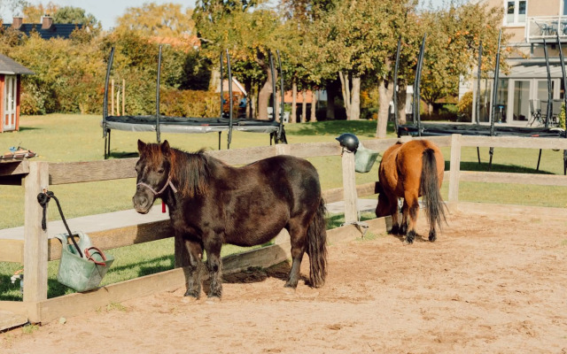 Familien Erlebnishof Büdlfarm