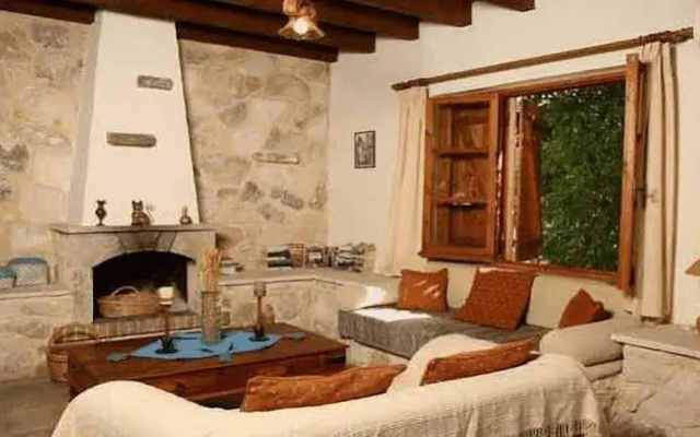 Villa Vineyard