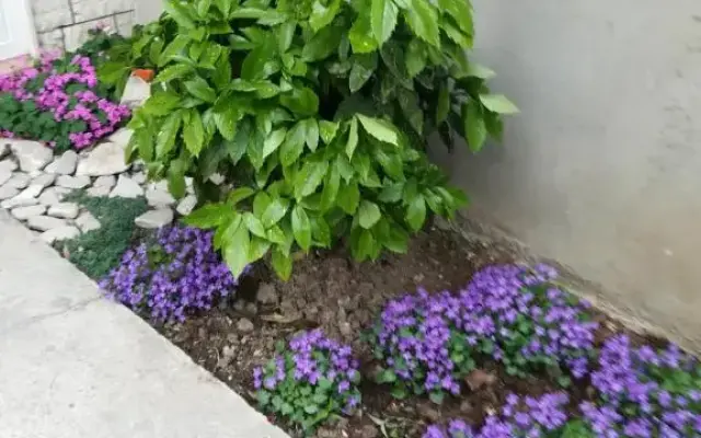 Apartment Visoka