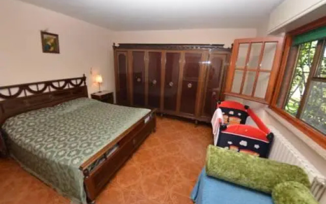 Agli Olivi