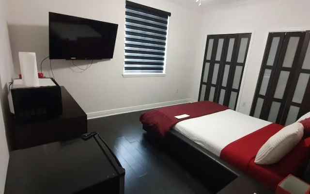 Modern Cabin 1