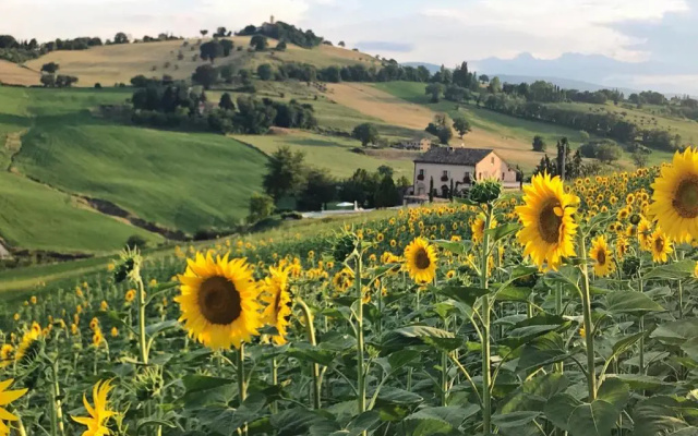 Casale delle Rondini