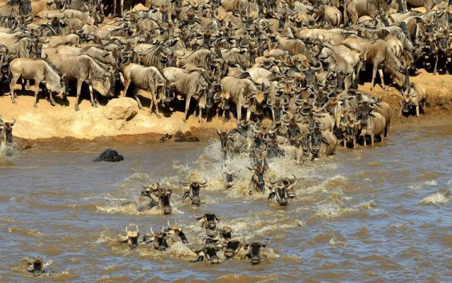Mara Big Five Lodge
