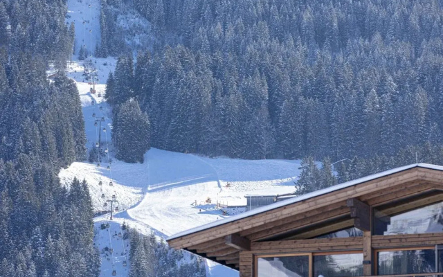 Penthouse in Tyrol With Infrared Sauna