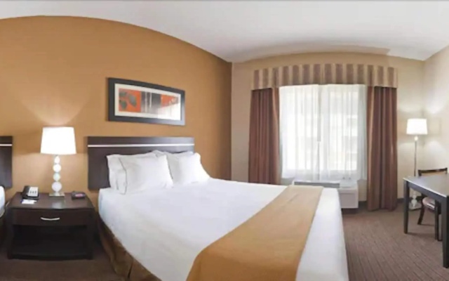 Holiday Inn Express Hotel & Suites LAMAR by IHG