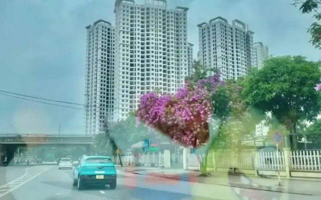 Chill Home - Chung Cư Tecco Elite City