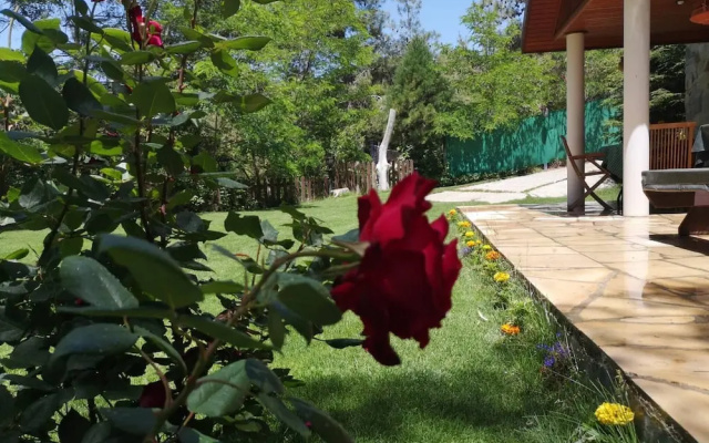 Villa Enriette - Panoramic Mountain Retreat in Pano Platres, Cyprus
