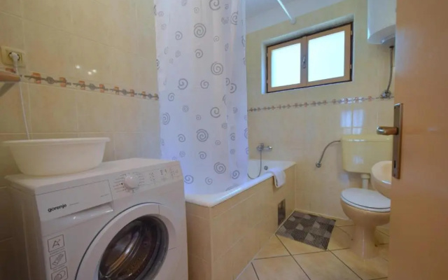 Apartment Anica