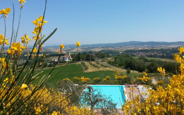 Holidays in Apartment With Swimming Pool