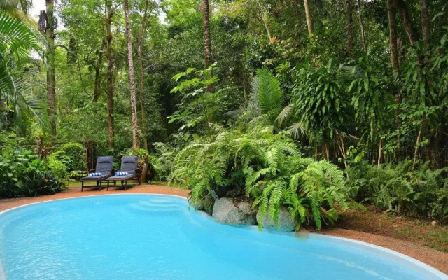 Wait A While Daintree