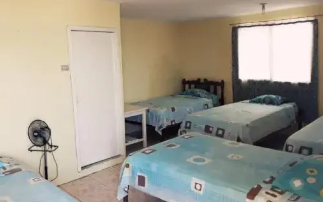 Hotel Hipocampo