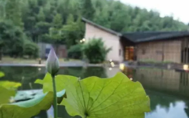 Moganshan UNDO Jingxin Homestay