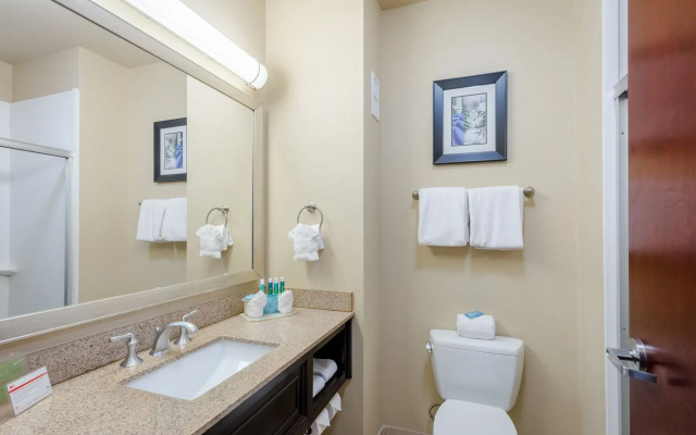 Holiday Inn Express Hotel & Suites DALLAS WEST by IHG