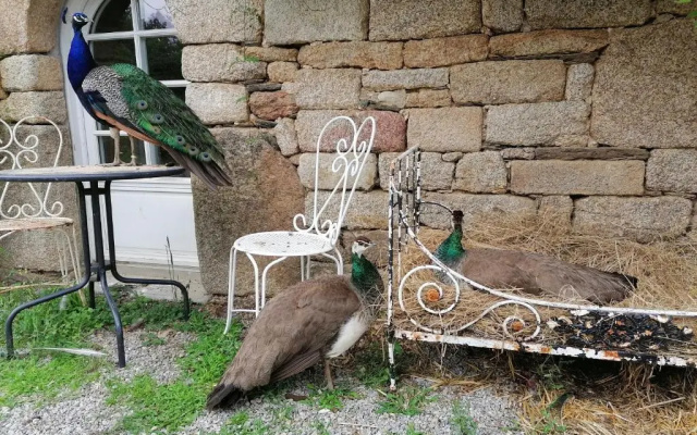 Frairie Du Divit