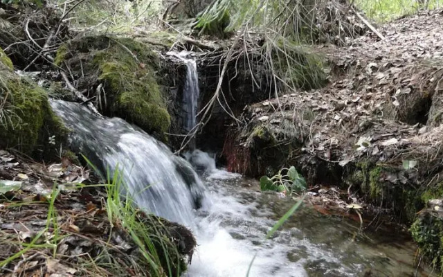 Granja Los Pinos