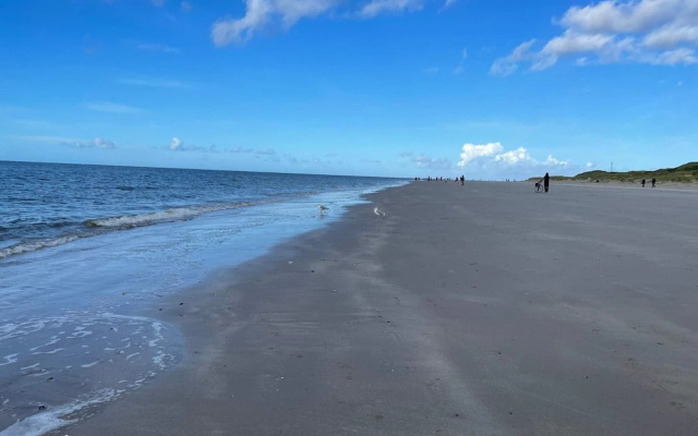 4 Person Holiday Home in Blavand