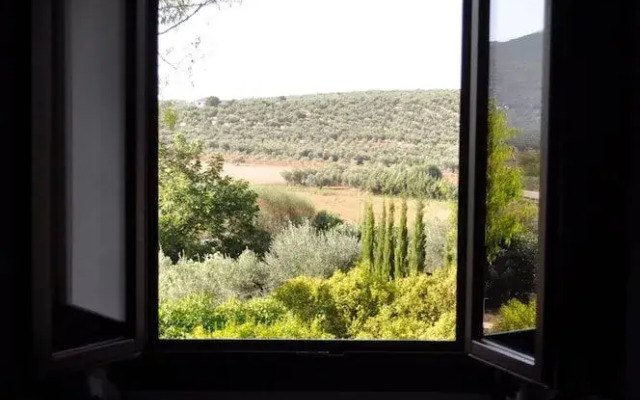 Rural La Paloma