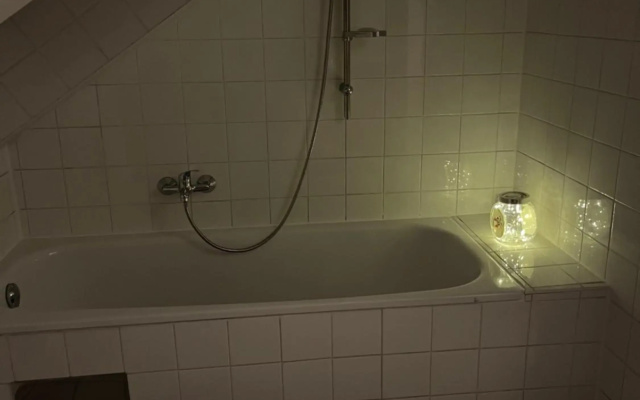 Ruhiges Dachgeschoß CityApartment im Zentrum Wiens
