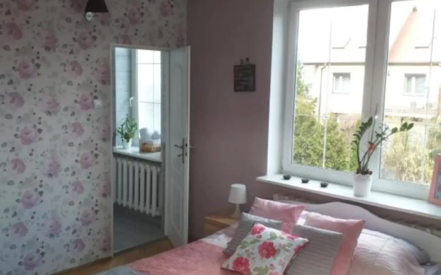 Hostel City Plock