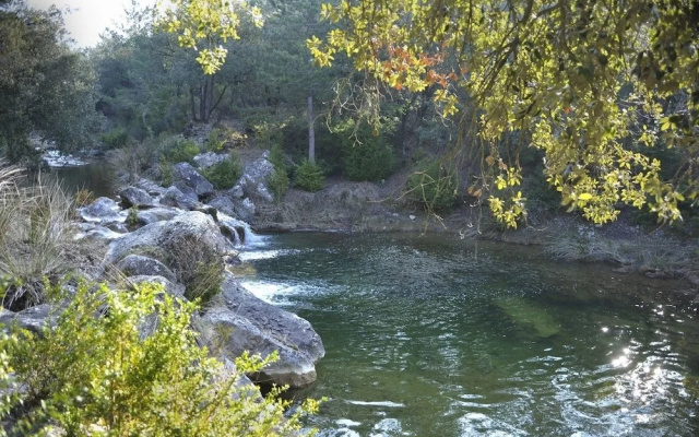 Domaine St Andrieu - Lodges