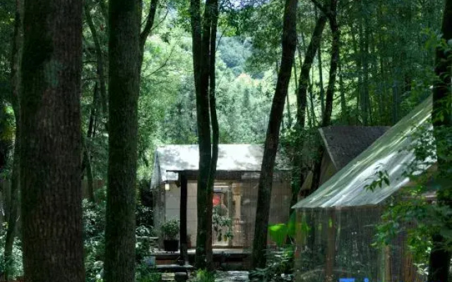 JDZ Forest Haven B&B