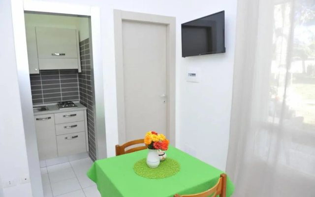 Apartment- Type D