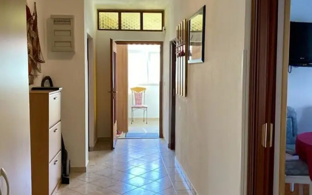 Charming Palit Kroatien Holiday House With Garden