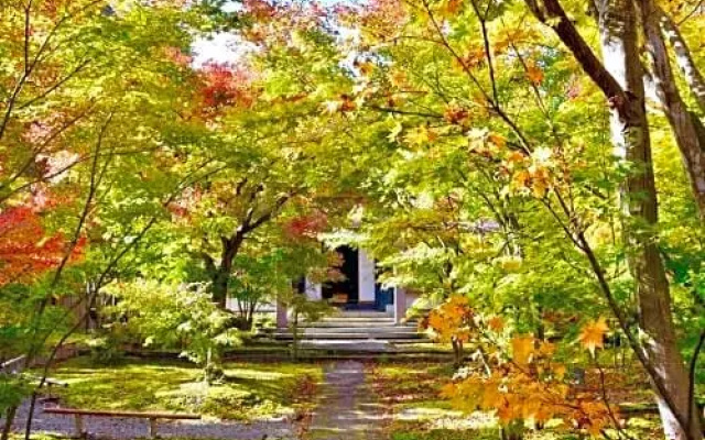 Togari Onsen Alpine Plaza - Vacation STAY 02286v