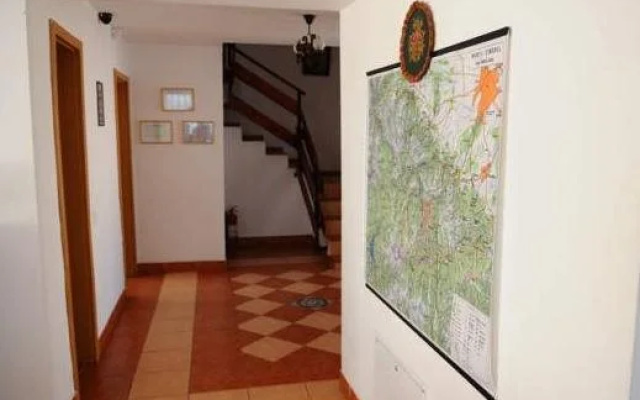 Vila Stefana Paltinis