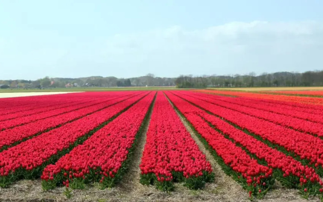 Het Eerste Huisje vacation home