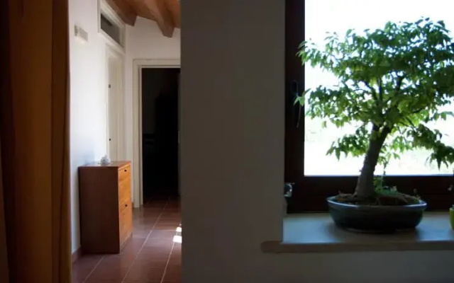 La Casa Del Conte