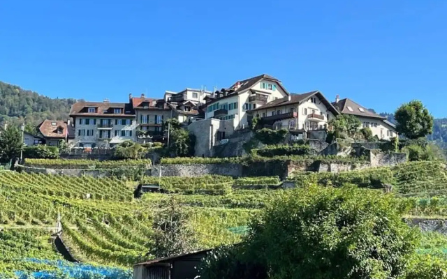 La Vigneronne, Tuin