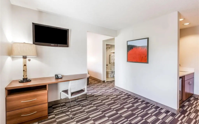 Microtel Inn by Wyndham Victor/Rochester