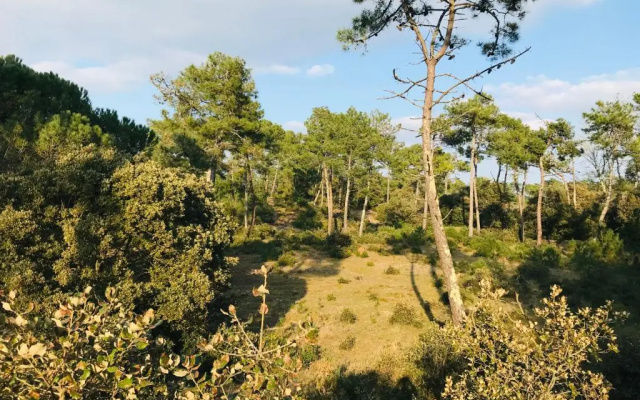 T2 pleine mer, l'océan et le soleil...