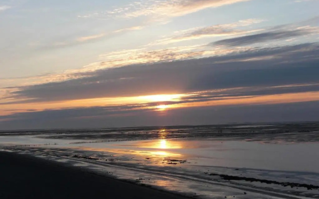 Lentemaheerd