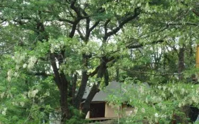 Prehistoric Lodge
