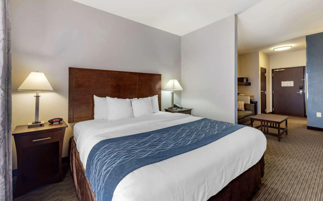 Comfort Inn & Suites Oklahoma City West - I-40