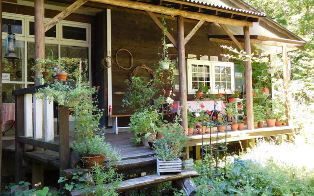 Country Lodge Farmstay