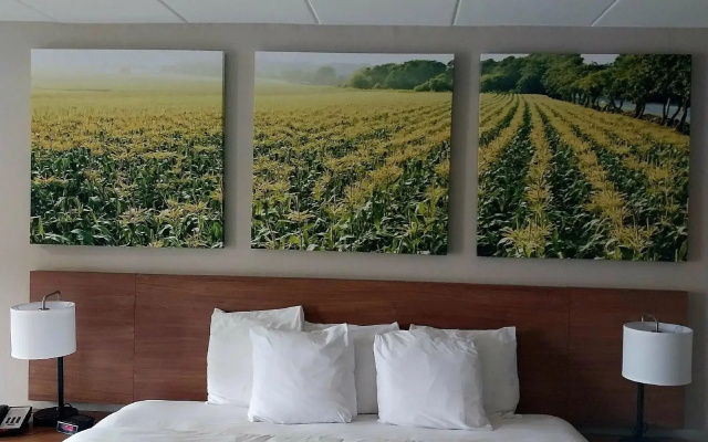 Days Inn By Wyndham Vineland