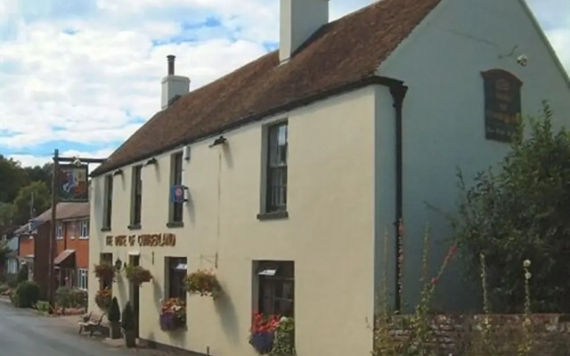 The Duke of Cumberland