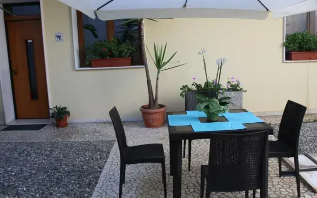 The Garden