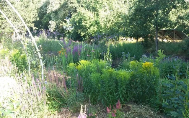 De Geheime Tuin - Boshuis
