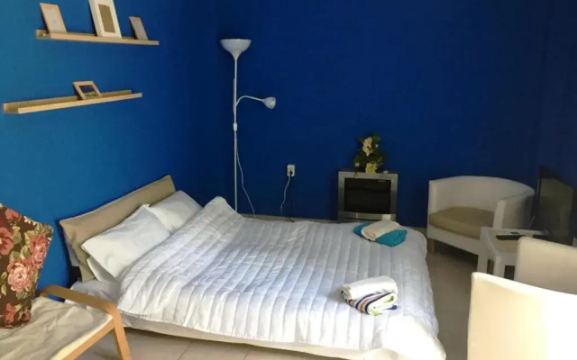 Blue House Efi