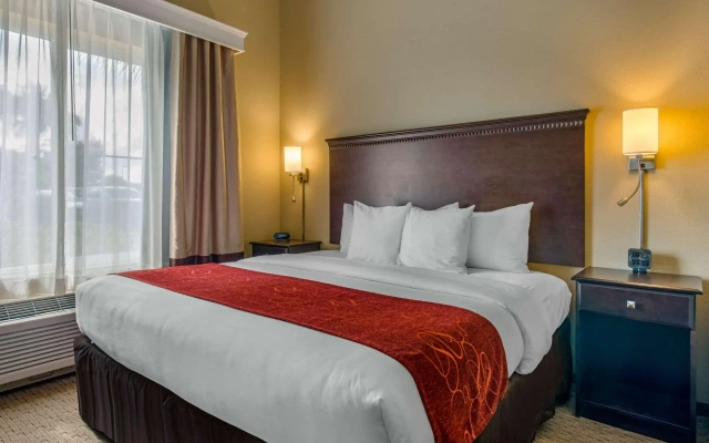 Comfort Suites Sarasota - Siesta Key