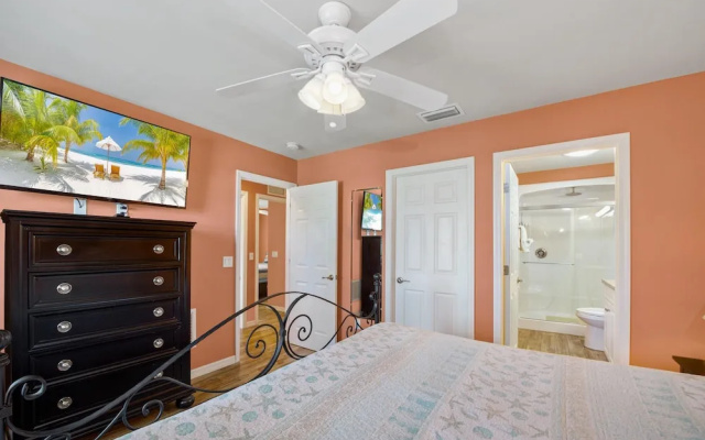 Sand Dollar on Miramar