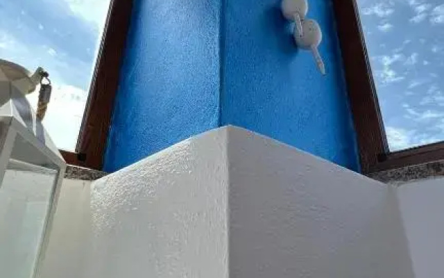 Il Pesce e il Geco