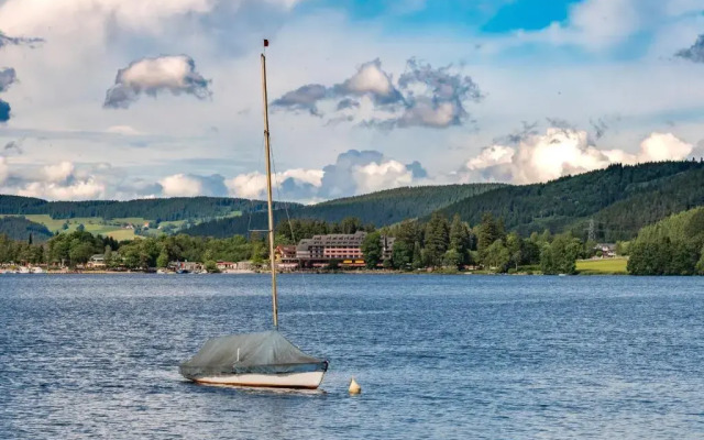 Ferienwohnung Seeblick Nr 3, 2 Zi-Bärental, Feldberg
