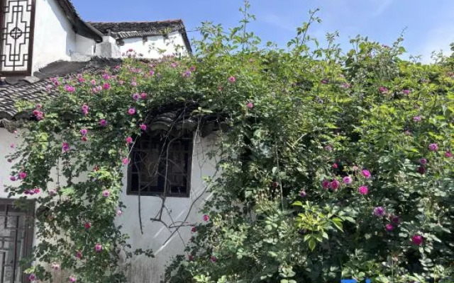 Xitang Chunye · Warm Dream Light Luxury Homestay
