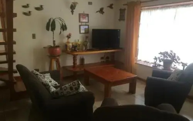 Cabañas Millantú
