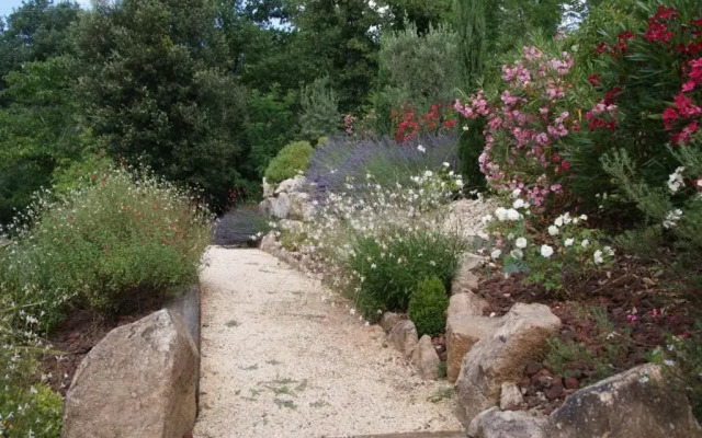 Chante Quinson